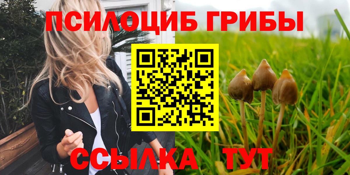 Галлюциногенные грибы ЛСД Лениногорск